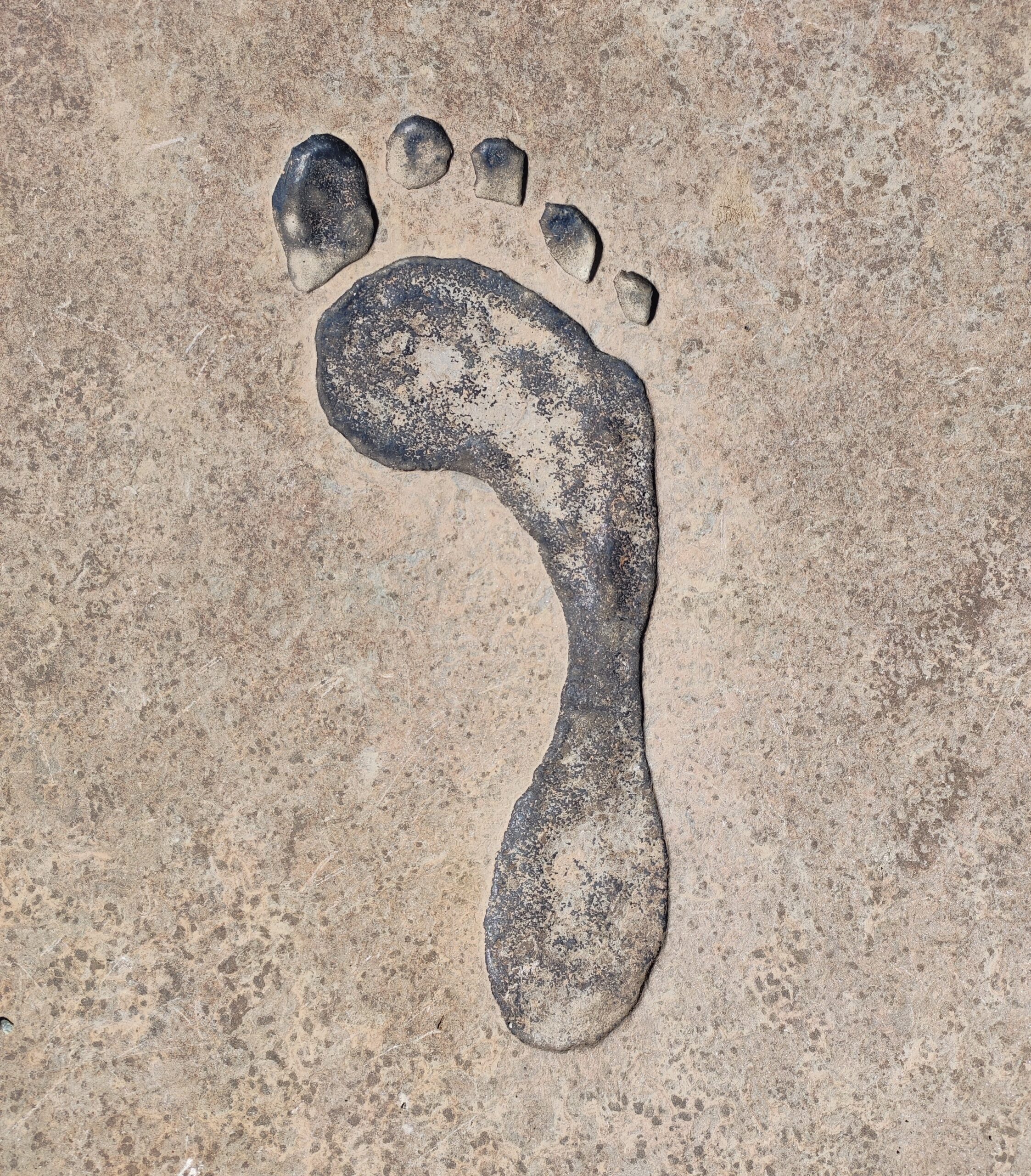 Agathe DIDIER SIMON – REFLEXOLOGUE